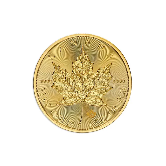 1 OZ Gold 2024 Maple Leaf Coin — photo 1