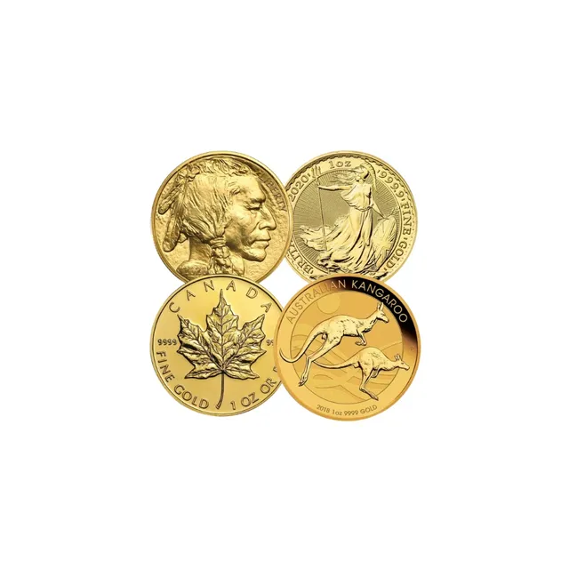 1 oz Gold Coins (Circulated) – Various Brands — photo 1