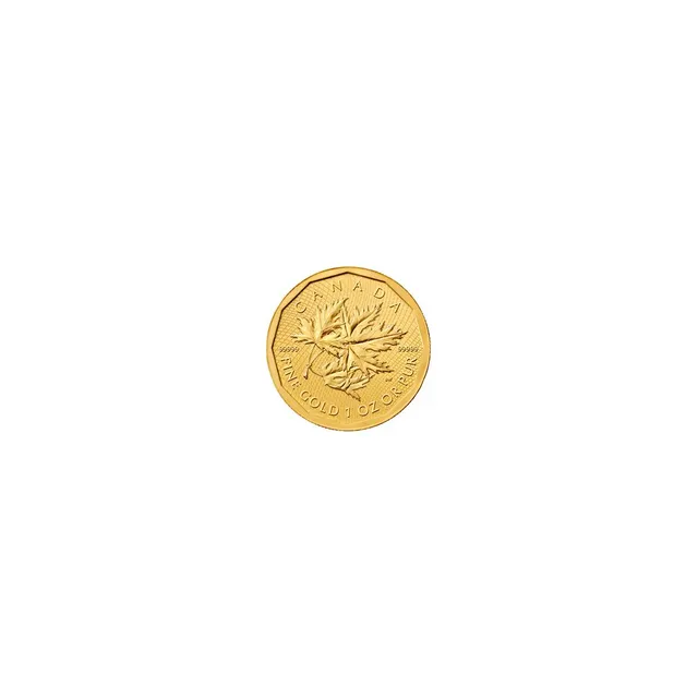 1 OZ GOLD MAPLE LEAF COIN 2009 .99999% FIVE 9'S w/assay card — photo 1