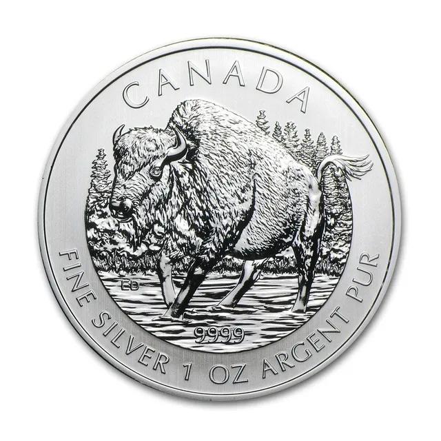 1 Oz Silver 2013 Wildlife Series Bison Coin — photo 1