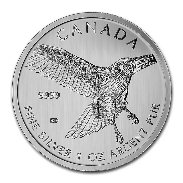 1 Oz Silver Canadian Red-Tailed Hawk Coin — photo 1