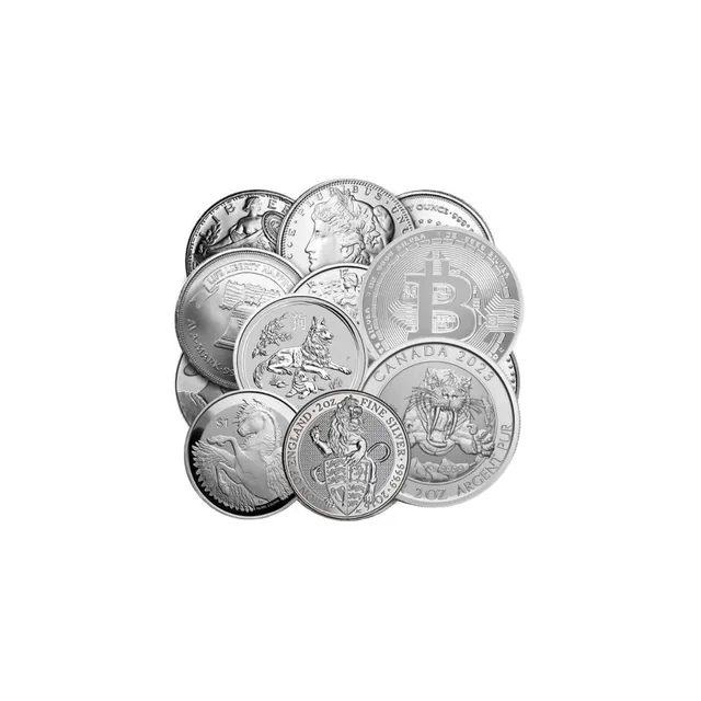 2 oz Silver Round (Random Mint & Design) (Circulated) — photo 1