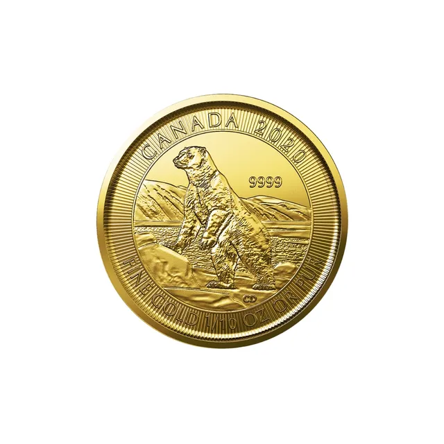 2020 1/10 Oz Gold Canadian Polar Bear Coin (Sealed) – Royal Canadian Mint — photo 1