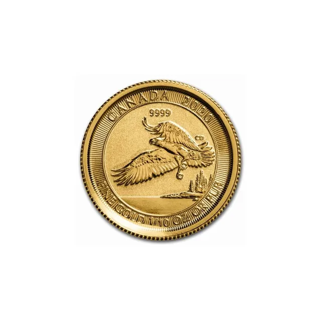 2020 1/10 oz Gold Eagle Coin (Sealed) – Royal Canadian Mint — photo 1