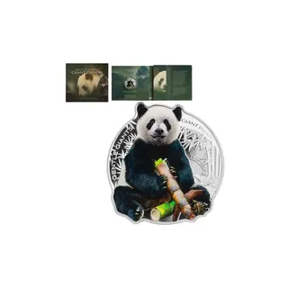 2022 1 oz Silver Giant Panda Coin – PAMP Suisse