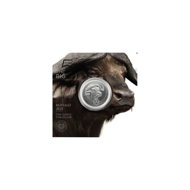 2023 1 oz Big Five Cape Buffalo Silver Coin in Card (Limited Mintage)  – South African Mint — photo 1