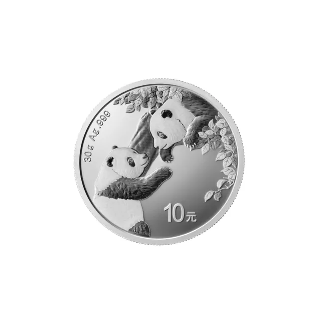 2023 30g Silver Panda Coin (Inc. Capsule) – Chinese Mint — photo 1