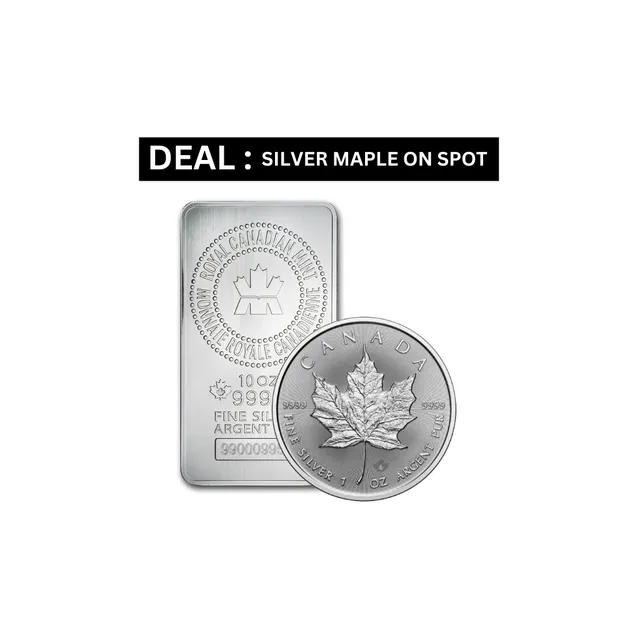 Deal: Buy 10 Oz Silver Bar & Get 2025 1 Oz Silver Maple At Spot Price — photo 1